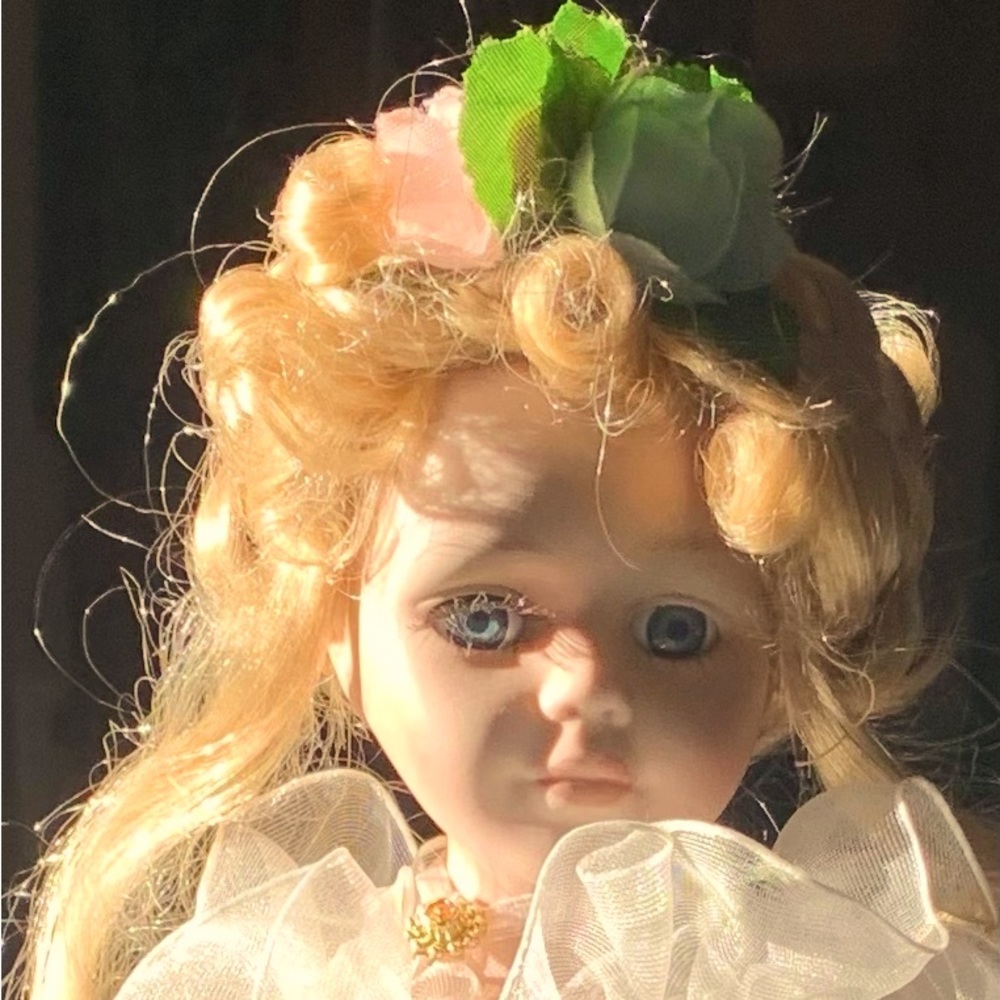 Meet your Posher, Rose